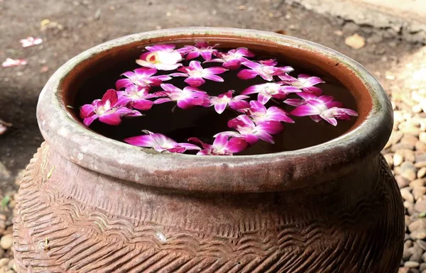 Fleurs d'orchidées dans l'eau — Photo