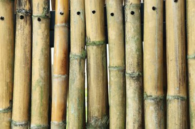 Bu duvar bambu arka plan