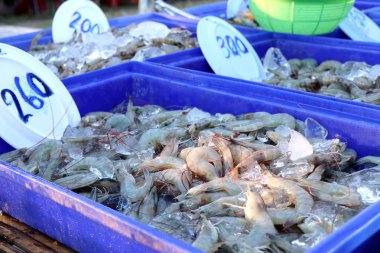 pazarda taze karides