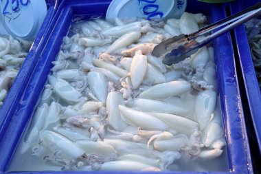 pazarda taze kalamar