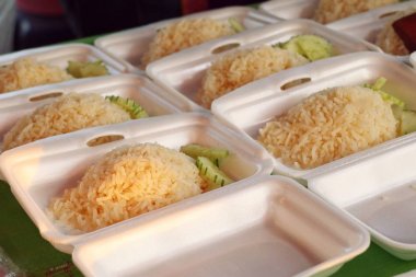 tavuk haşlanmış pirinç