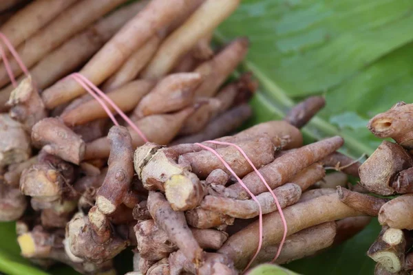 Racine de gingembre au marché — Photo