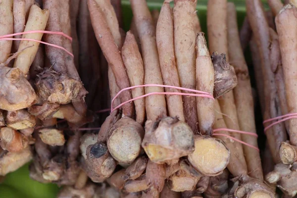 Ginger root at market — Stock Photo, Image