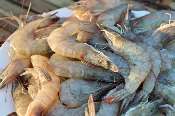 Camarão fresco no mercado — Fotografia de Stock