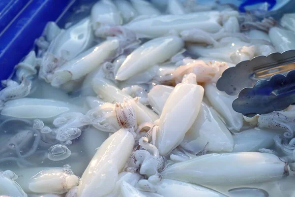 Frischer Tintenfisch auf dem Markt — Stockfoto