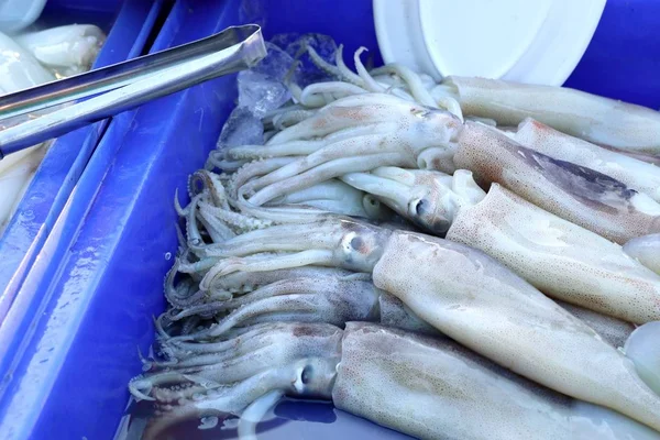 Fresh squid in market — Stock Photo, Image