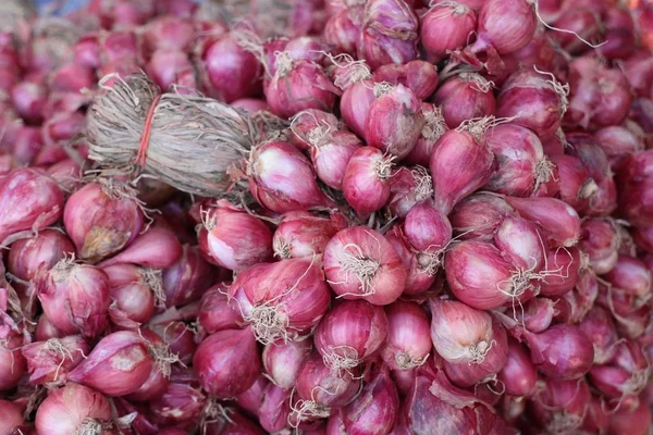 Échalotes au marché — Photo