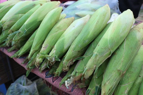 市場で新鮮なトウモロコシ — ストック写真