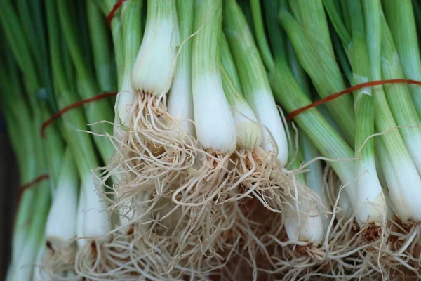 Frühlingszwiebeln auf dem Markt — Stockfoto