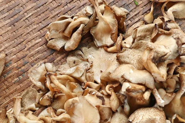 Funghi freschi al cibo di strada — Foto Stock