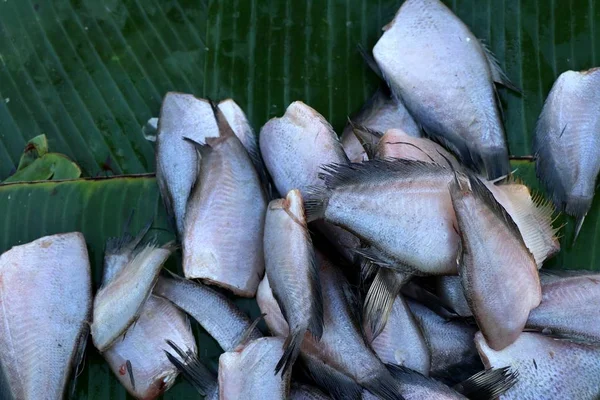 Ryby na rynku — Zdjęcie stockowe