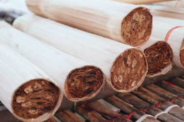 BAMBOO 'NUN İÇİN EŞİLDİ