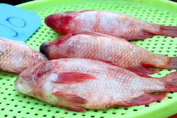 Poissons frais sur le marché — Photo