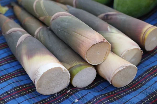 Tiro de bambu na estrada de rua — Fotografia de Stock