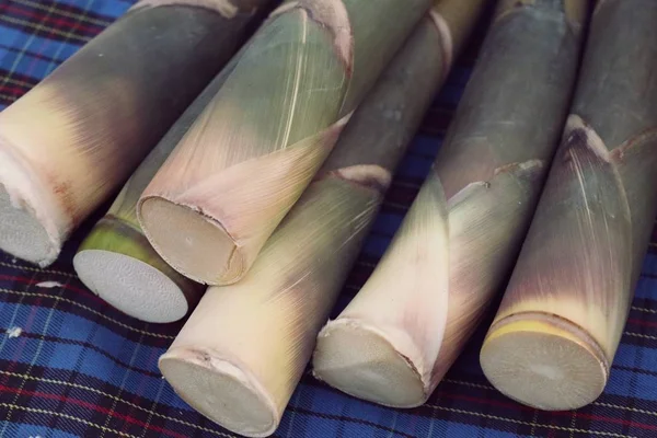 Tiro de bambu na estrada de rua — Fotografia de Stock