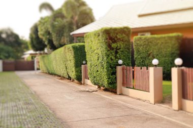 Dekoratif lamba yan sokakta