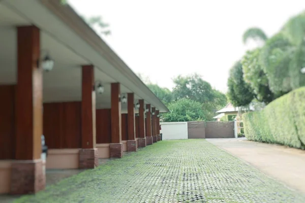 Grass on brick floor — Stock Photo, Image