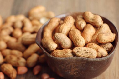 Fıstık tohum yığını