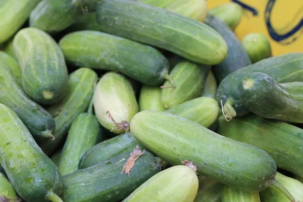 Pepino en la comida callejera — Foto de Stock