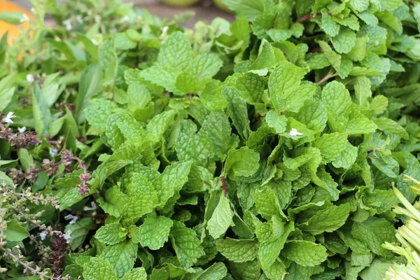 Mint leaves at street food — Stock Photo, Image