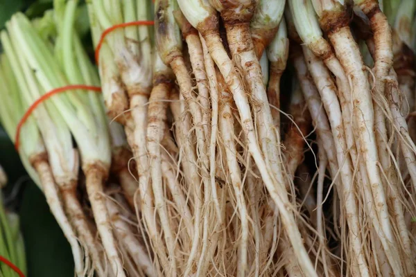 Root coriander at the market — Stock Photo, Image