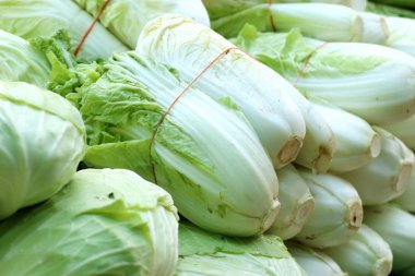 Çin lahanası Market