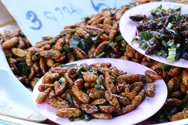 Fried böcek sokak gıda — Stok fotoğraf