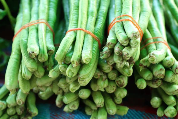 Haricots longs au marché — Photo