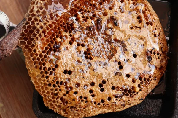 甜蜂窝和蜂蜜 — 图库照片