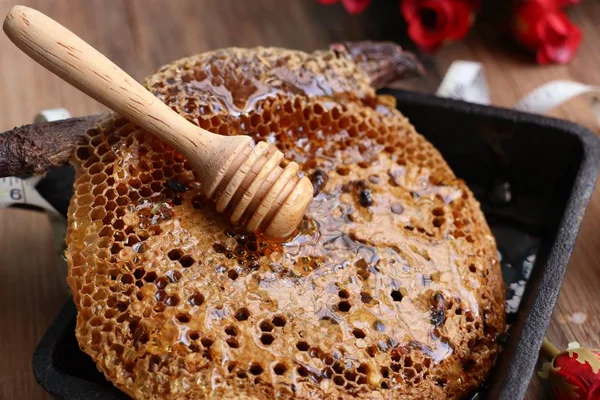 Sladký honeycomb a medu — Stock fotografie