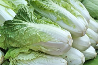 Çin lahanası Market