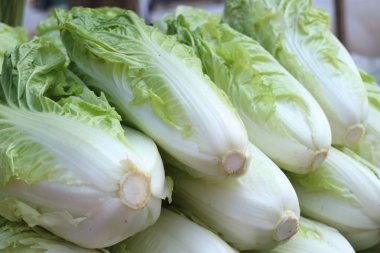 Çin lahanası Market