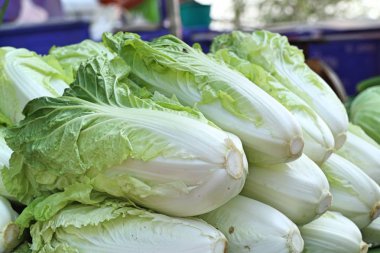 Çin lahanası Market