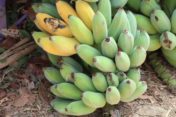 Plátano en la calle comida —  Fotos de Stock
