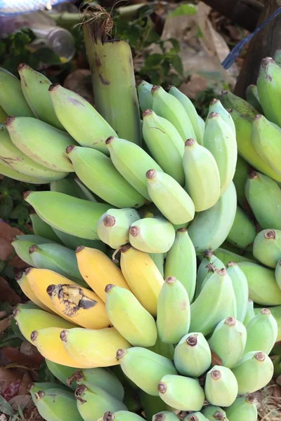 Банан на улице еды — стоковое фото