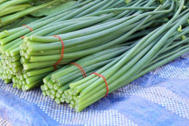 Taze soğan çiçek Market