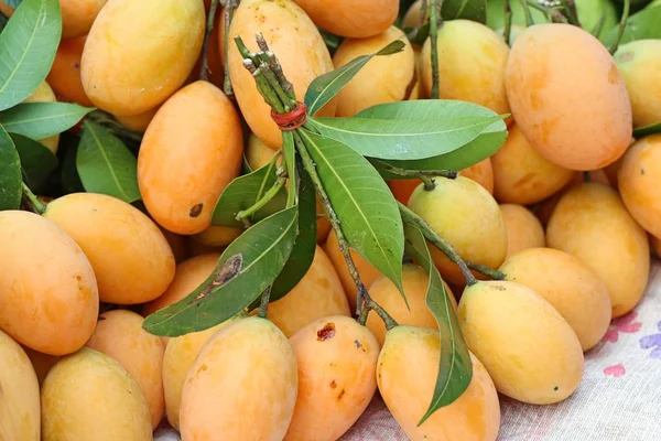 Frutas de plango tailandesas ou ameixa mariana — Fotografia de Stock