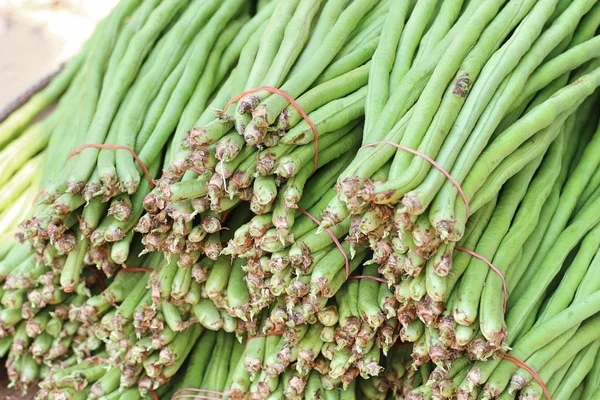 Haricots longs au marché — Photo