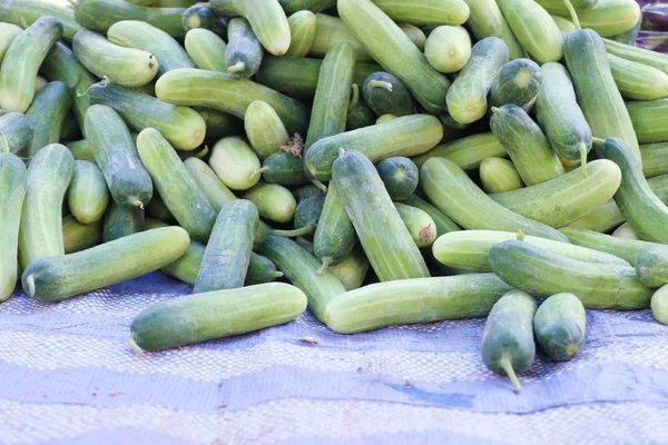 Огірок на вуличній їжі — стокове фото