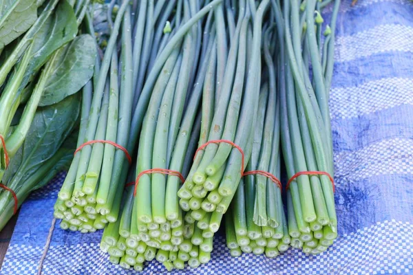 Frühlingszwiebelblüte auf dem Markt — Stockfoto