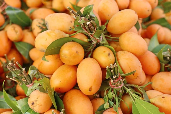 Thailändska plango frukt eller marian plommon — Stockfoto
