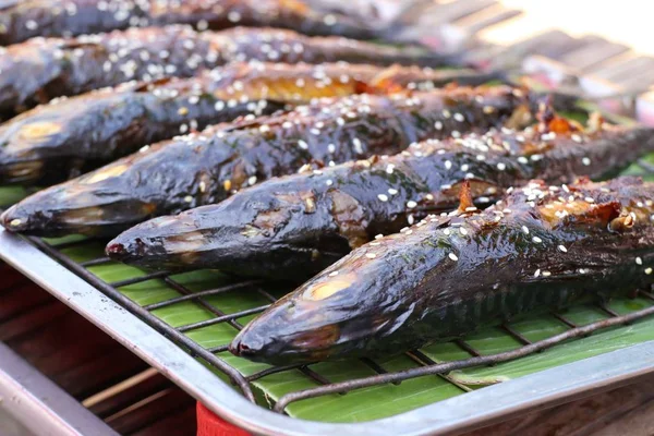 Grillad fisk på gata mat — Stockfoto