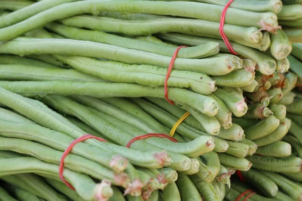 Lange bonen op markt — Stockfoto