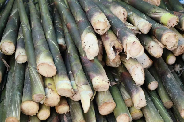 Bamboe schieten op straat eten — Stockfoto