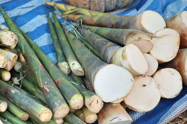 Бамбуковая стрельба по уличной еде — стоковое фото