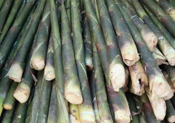 Pousse de bambou à la nourriture de rue — Photo