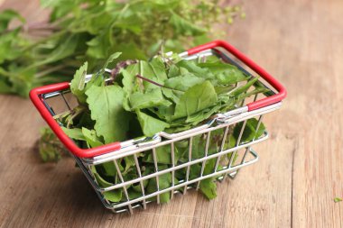 Ot taze fesleğen sebze