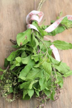 Ot taze fesleğen sebze