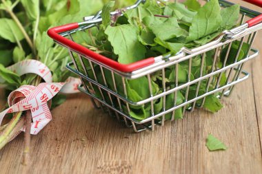 Ot taze fesleğen sebze