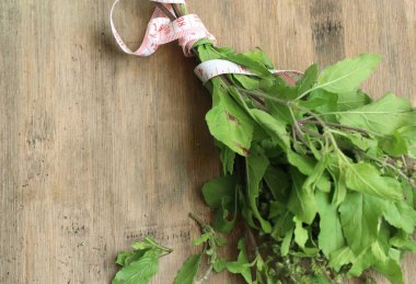 Ot taze fesleğen sebze